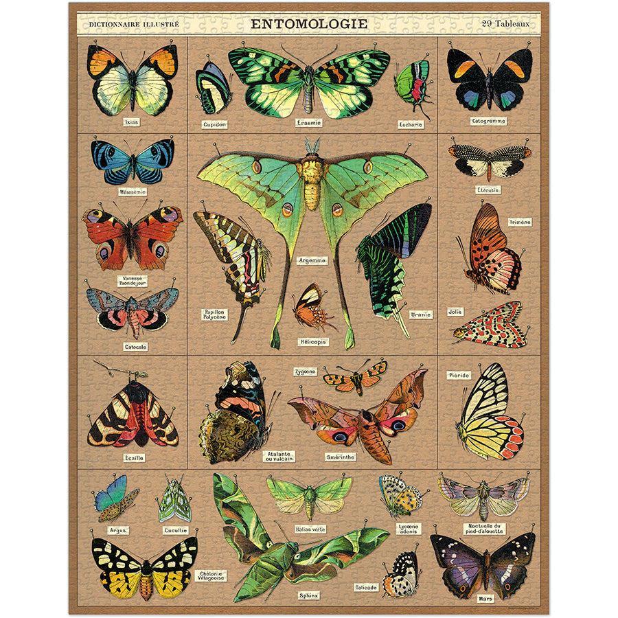 Entomology 1000 Piece Puzzle