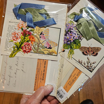 Insects Ephemera Pack