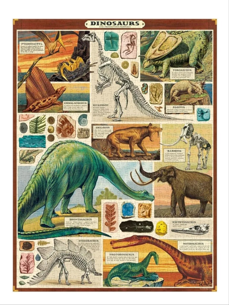 Dinosaurs 1000 Piece Puzzle