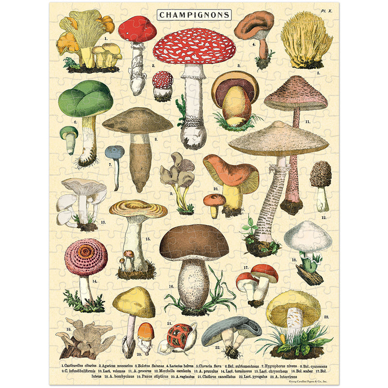 Mushrooms 240 Piece Puzzle