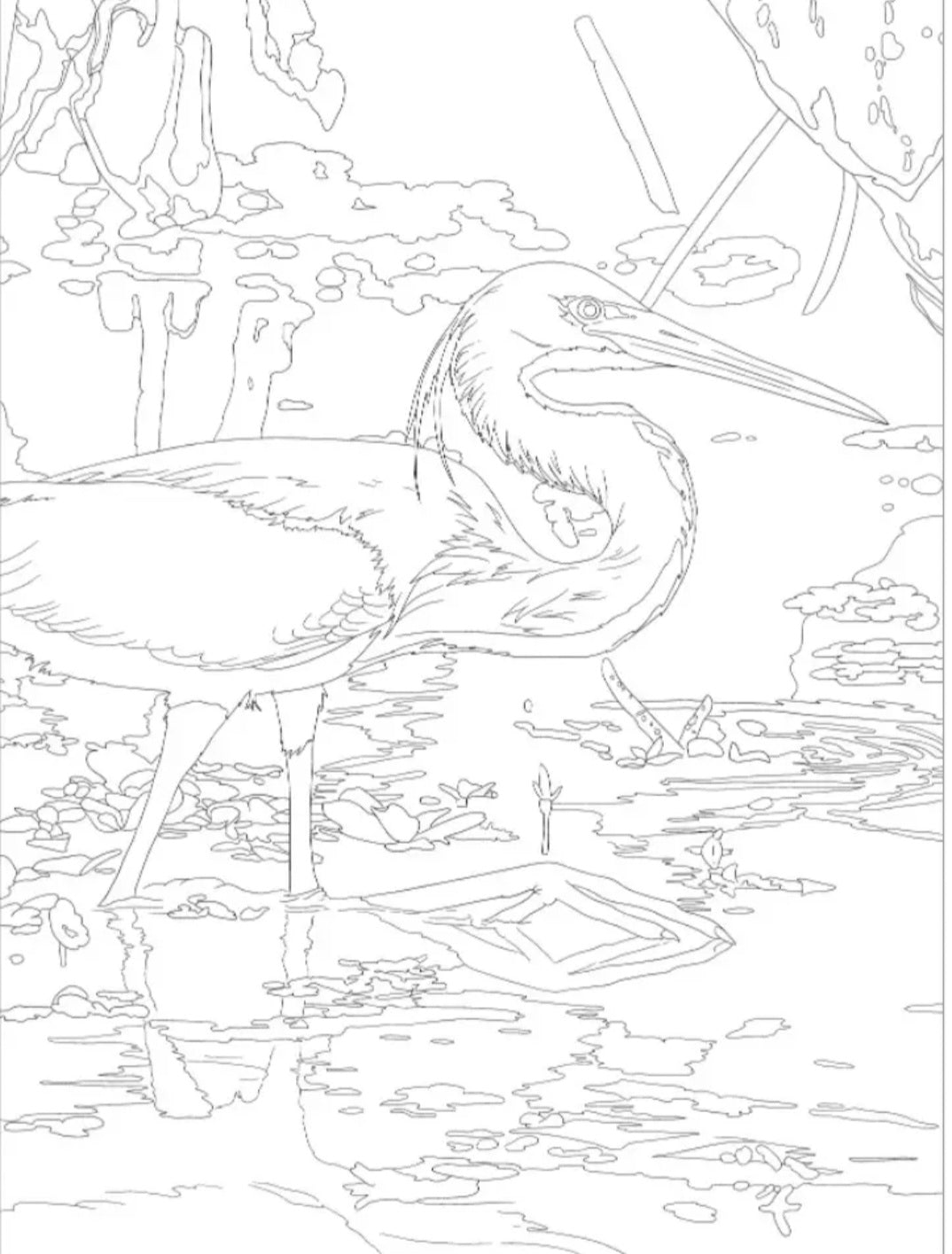 National Parks Coloring Book