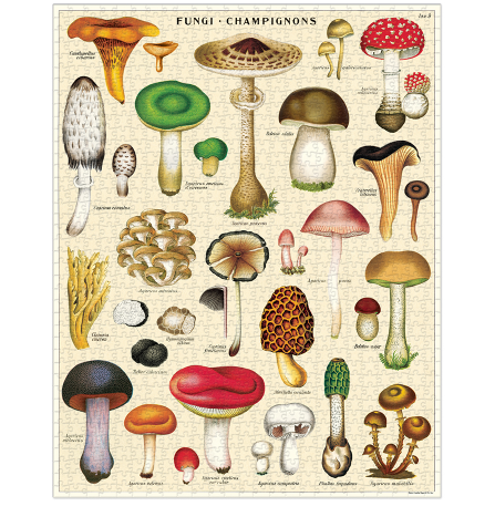 Mushrooms 1000 Piece Puzzle