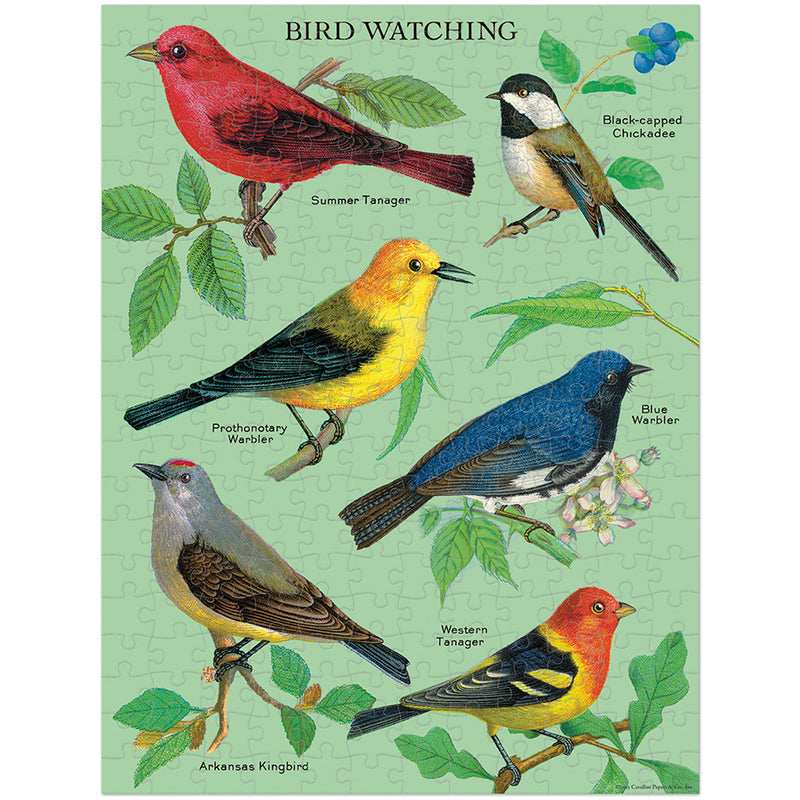 Bird Watching 240 Piece Puzzle
