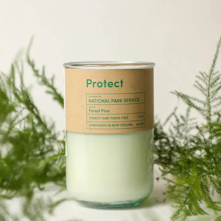 Protect Forest Pine Candle