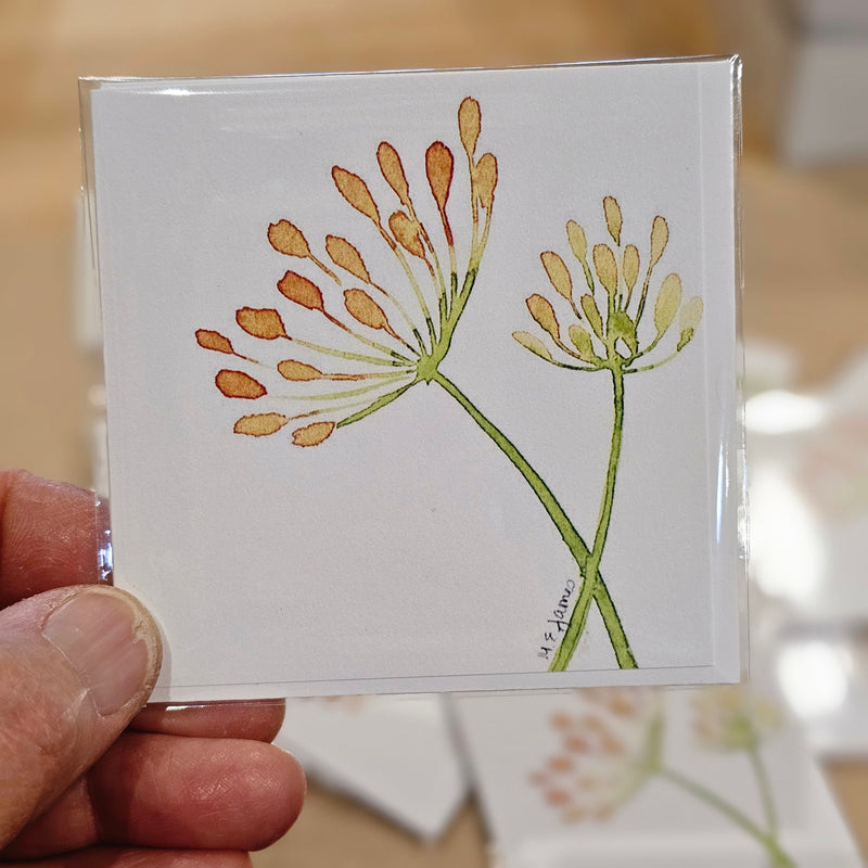 Peter Pan Flowers by M. E. James 3x3 Gift Card