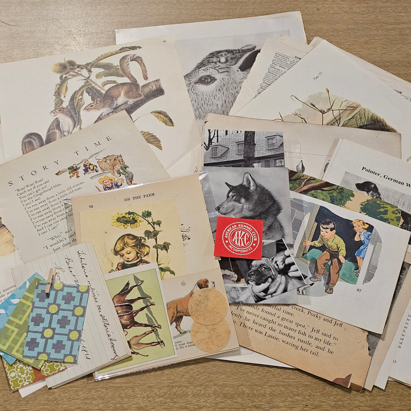 Animal Ephemera Pack
