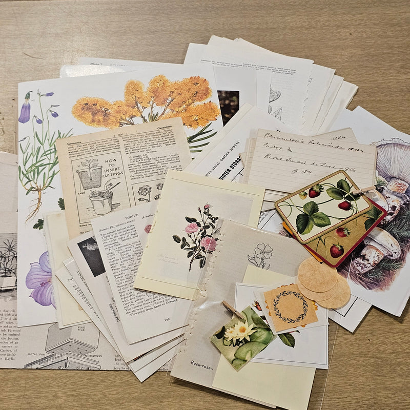 Botanical Ephemera Pack