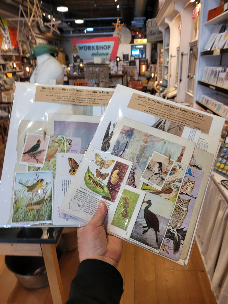 Birds, Butterflies and Insect Ephemera Pack 34