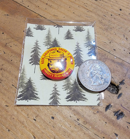 Smokey's Reading Club Pin