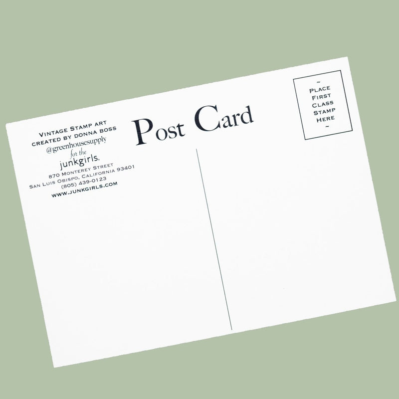 California Bear San Luis Obispo Postcard